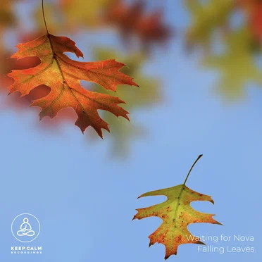 Falling Leaves