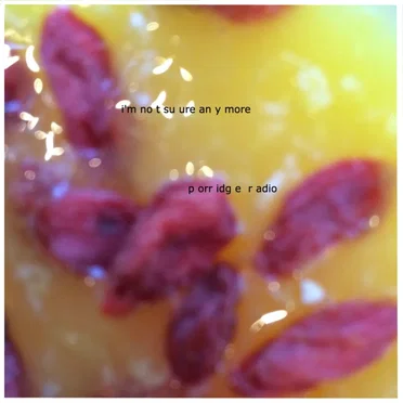 i'm not sure anymore by Porridge Radio - album cover