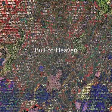 It Was as You Said by Bull of Heaven - album cover