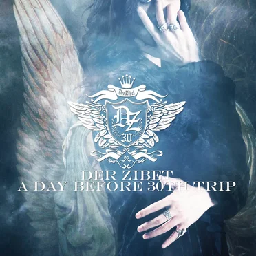 A DAY BEFORE 30TH TRIP by DER ZIBET - album cover