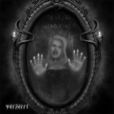 Richtung Unendlichkeit by Verzerrt - album cover