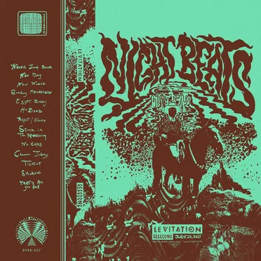 Levitation Sessions by Night Beats - album cover