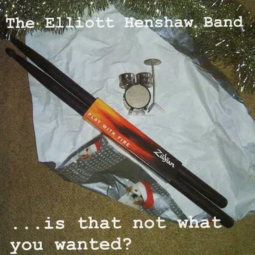 Is That Not What You Wanted? by The Elliott Henshaw Band - album cover