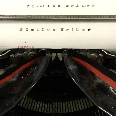 Fiction Writer by Herzog - album cover