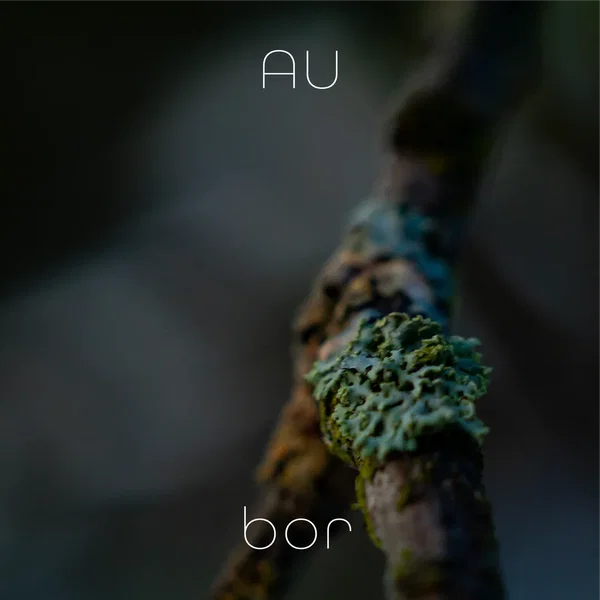 Bor