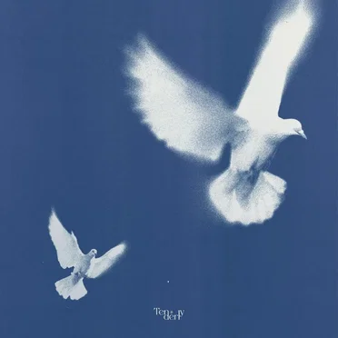 Tenderly by LEO - album cover