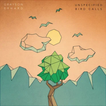 Unspecified Bird Calls by Grayson Erhard - album cover