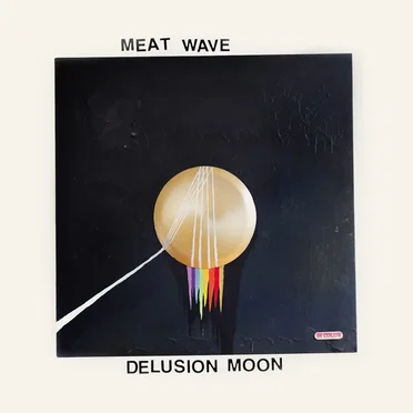 Delusion Moon by Meat Wave - album cover