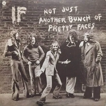 Not Just Another Bunch of Pretty Faces
