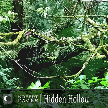 Hidden Hollow
