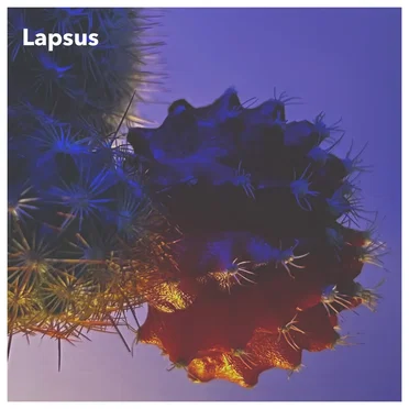 Lapsus