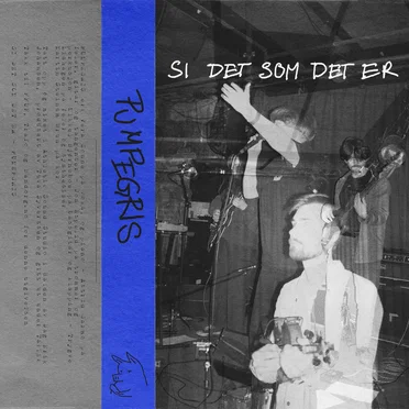 Si det som det er by Pumpegris - album cover