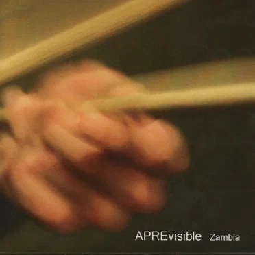 Zambia by APREvisible - album cover