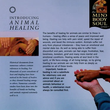 Animal Healing by Perry Wood - album cover