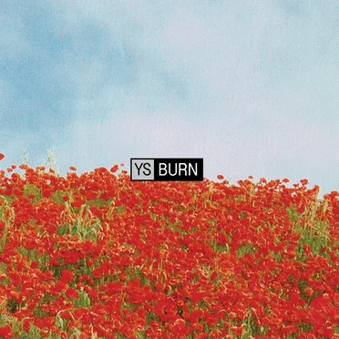 Burn