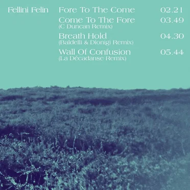 Temporary Fiction (Remixes) by Fellini Félin - album cover