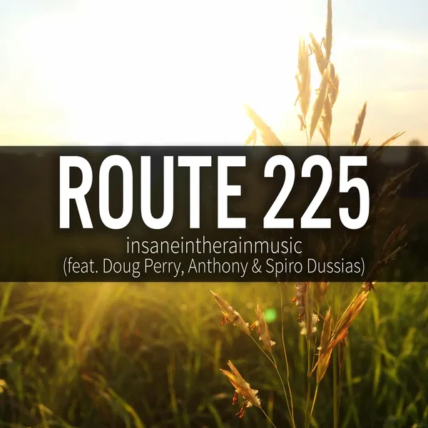 Route 225