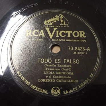 Todo es falso / La guia