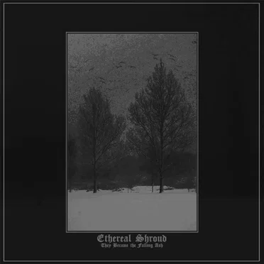 They Became the Falling Ash by Ethereal Shroud - album cover