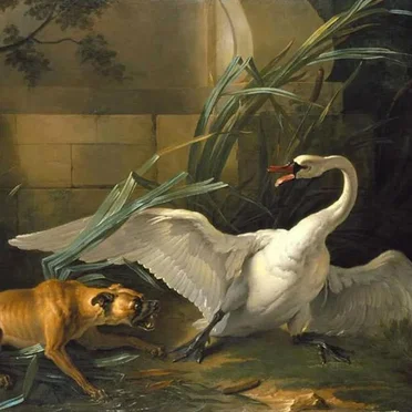 Cisne