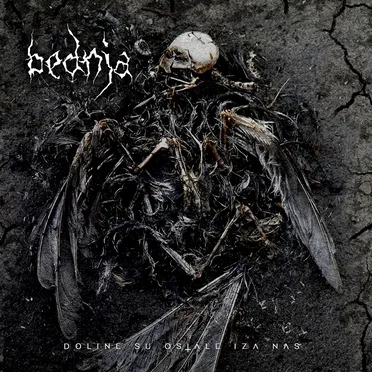 Doline Su Ostale Iza Nas by Bednja - album cover