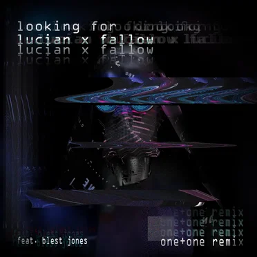 Looking For (OneOne remix)