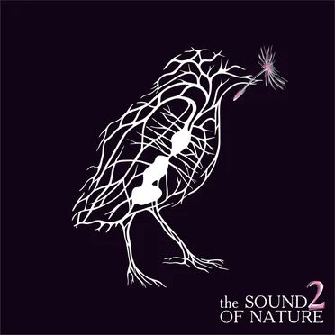 The Sound of Nature 2 by Various Artists - album cover