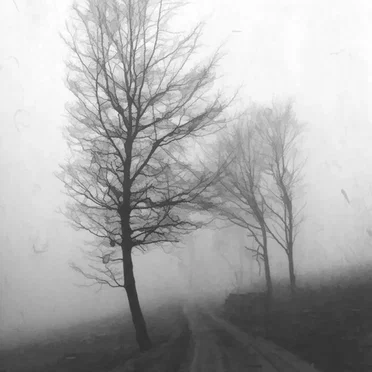 WHITE 2 by Elio Varesse - album cover