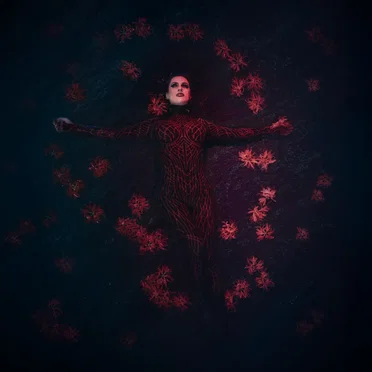 Blood in the Water