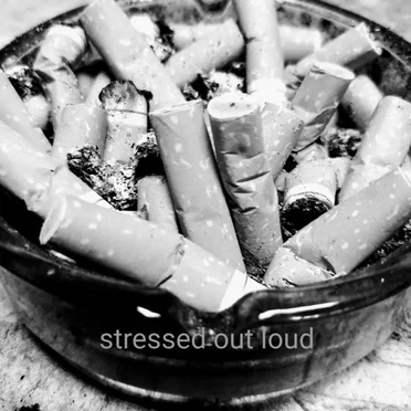 Stressed Out Loud by Segue - album cover