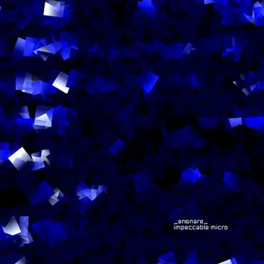 Impeccable Micro
