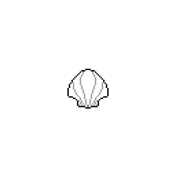 Seashells