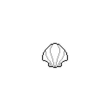 Seashells