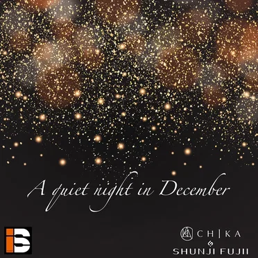 A quiet night in December