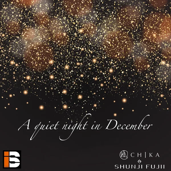 A quiet night in December
