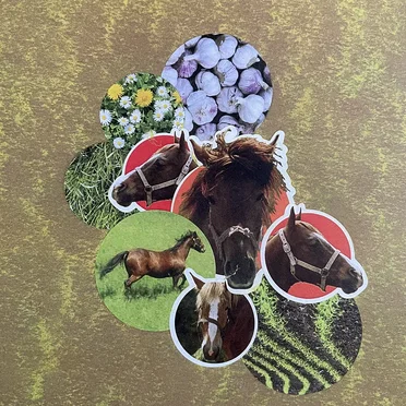 Felony of Seeds - Live Burn 12 - Louisville, KY - 05/08/2023