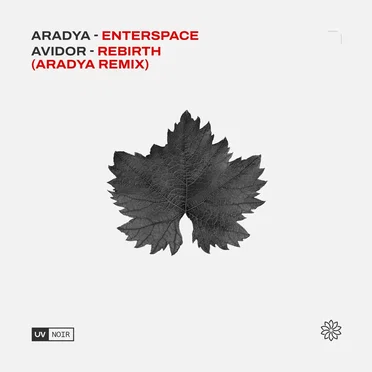 Enterspace by Aradya - album cover