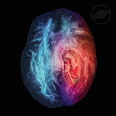 This Is Your Brain On Love
