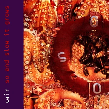 So and Slow It Grows