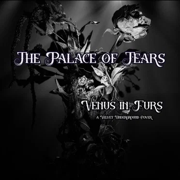 Venus In Furs by The Palace of Tears - album cover