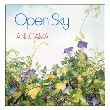 Open Sky