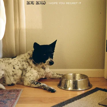 I Hope You Regret It by Indri Indigo - album cover