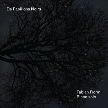 De papillons noirs