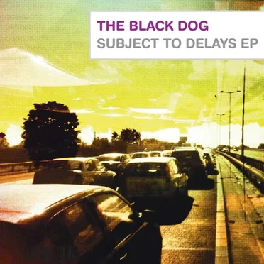 Subject to Delays EP