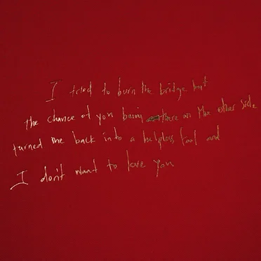 I Don’t Wanna Love You