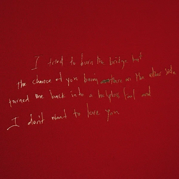 I Don’t Wanna Love You