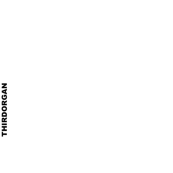 Thirdorgan