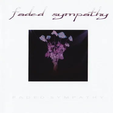 faded sympathy by faded sympathy - album cover