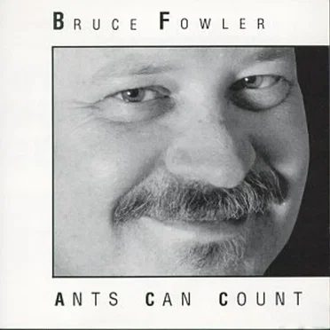 Ants Can Count