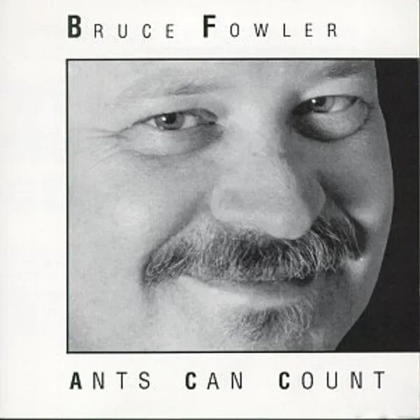 Ants Can Count